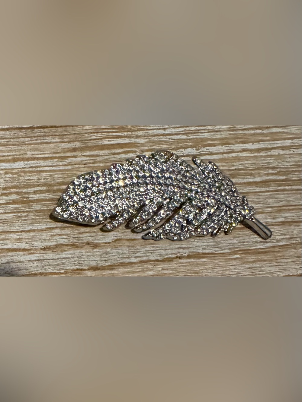 Sparkling Feather Silver-Tone Brooch
